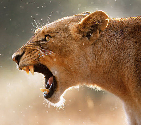 Security Services Hero